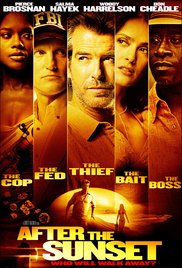 After.the.Sunset.2004.BluRay.1080p.DTS.x264-PRoDJi