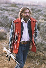 The American Dreamer (1971)