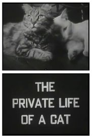 The Private Life of a Cat (1947)