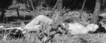 Violence Without a Cause (1969)