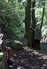 Artemis’ Knee (2008)