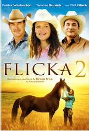 Flicka.2.2010.1080p.BluRay.x264.DTS-FGT