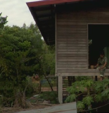 A Letter to Uncle Boonmee (2009)