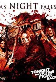 As.Night.Falls.2010.1080p.BluRay.x264-BRMP