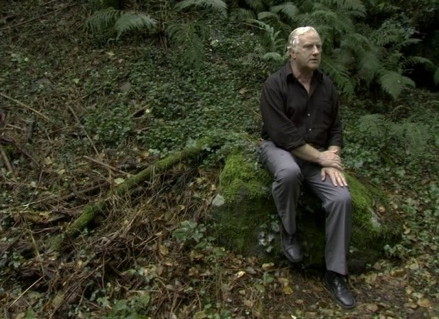 L’inconsolable (2011)