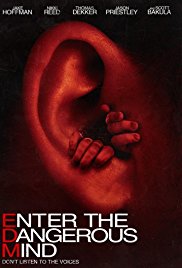Enter.The.Dangerous.Mind.2013.1080p.BluRay.x264-BRMP