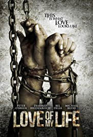 Love of my Life (2013)