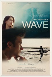 The.Perfect.Wave.2014.1080p.BluRay.X264-Japhson