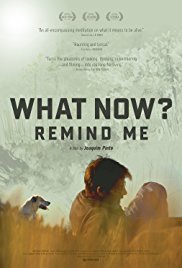 What Now? Remind Me (2013)