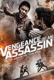 Vengeance of an Assassin (2014)