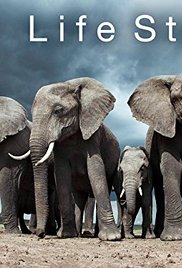 Life Story (2014)