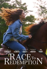 Race.to.Win.2016.1080p.BluRay.x264-GUACAMOLE