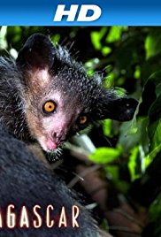 Madagascar (2011)