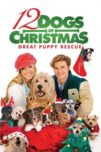 12.Dogs.Of.Christmas.Great.Puppy.Rescue.2012.1080p.BluRay.x264-MELiTE