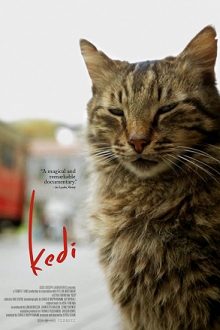 Kedi (2016)