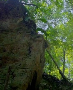 Lost Treasures of the Maya Snake King (2017)