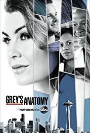 Greys.Anatomy.S15E13.720p.HDTV.x264-300MB