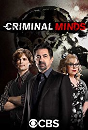 Criminal.Minds.S14E03.720p.HDTV.x264-300MB