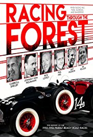 Racing Through the Forest (2016)