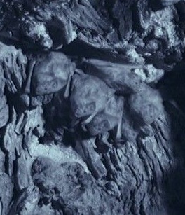 Inside the Pack (2017)