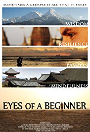 Eyes of a Beginner (2012)