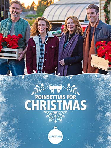 Poinsettias for Christmas (2018)