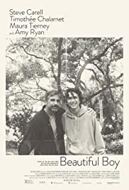 Beautiful.Boy.2018.1080p.BluRay.X264-AMIABLE