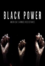 Black Power: America’s Armed Resistance (2016)