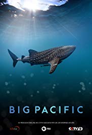 Big.Pacific.2017.S01.720p-1080p.BluRay.x264-worldmkv