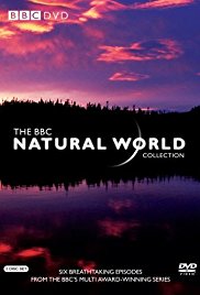 Natural.World.S39E01.720p.WEB.x264-worldmkv