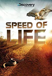 Speed.of.Life.2010.S01.720p-1080p.BluRay.x264-worldmkv