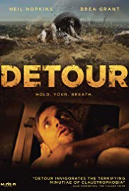 Detour.2013.LIMITED.1080p.BluRay.x264-AN0NYM0US
