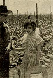 The Rose of Kentucky (1911)