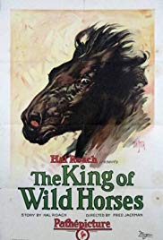 The King of Wild Horses (1924)