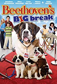 Beethoven’s Big Break (2008)