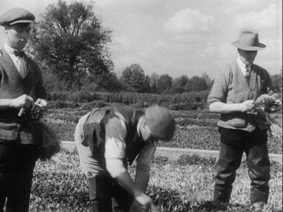 The Country Comes to Town (1933)