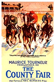 The County Fair (1920)