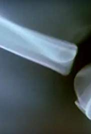 Comingled Containers (1997)