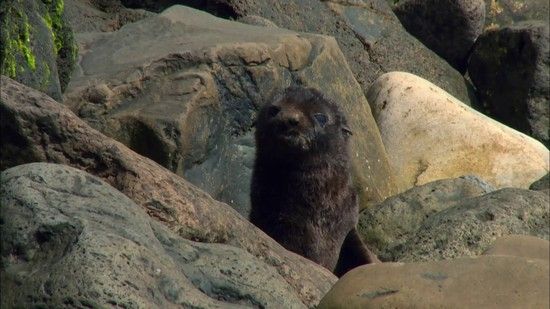 Islands of Fire (2019)