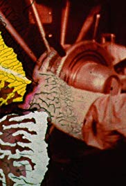 Spark of Being (2010)