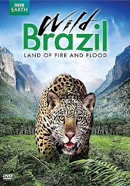 BBC.Earth.Wild.Brazil.2014.S01.720p-1080p.BluRay.x264-worldmkv