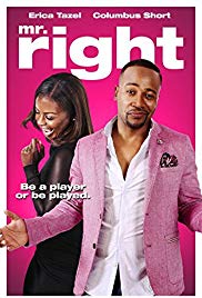 Mr. Right (2015)