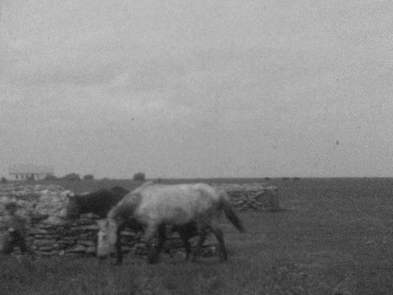 Back to the Soil (2014)