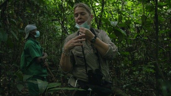 Gorillas of Gabon (2019)