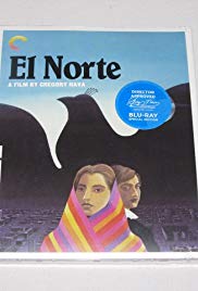 The Journal of Diego Rodriguez Silva (1972)