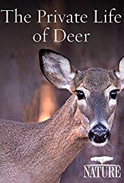 The Private Life of Deer (2013)