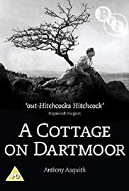A Cottage on Dartmoor (1929)