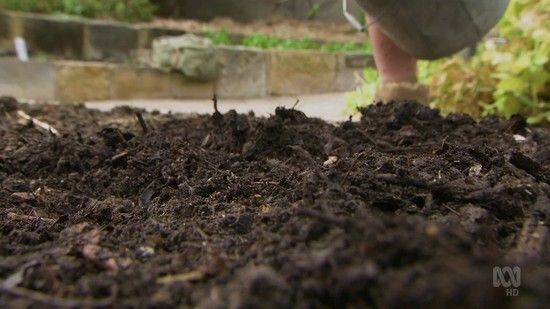 Gardening Australia Christmas Special (2019)