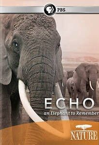 Nature Echo An Elephant to Remember (2010)