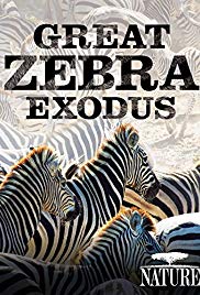 Nature Great Zebra Exodus (2013)